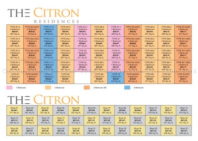 the-citron-diagrammatic-chart