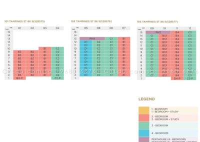 the-alps-residences-diagrammatic-chart-1